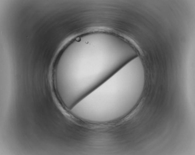 X0000115611038200911100927
