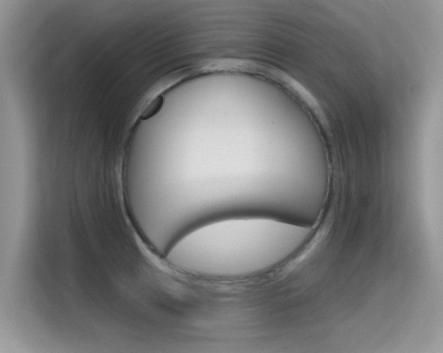 X0000115611041200911100928
