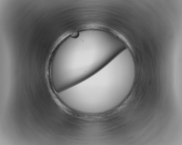 X0000115611042200911100928