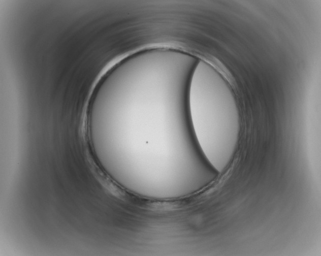 X0000115611044200911100928