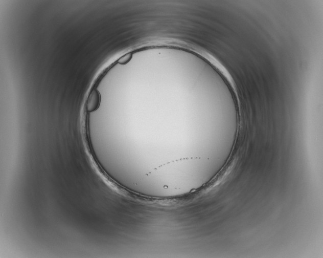 X0000115611053200911100928