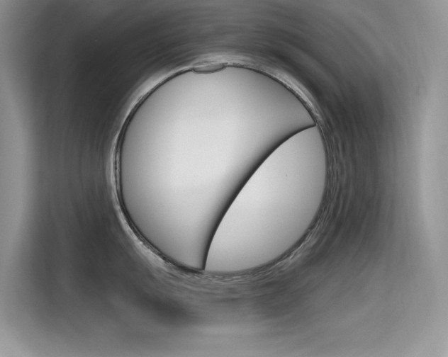 X0000115611055200911100928