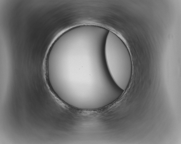 X0000115611056200911100928