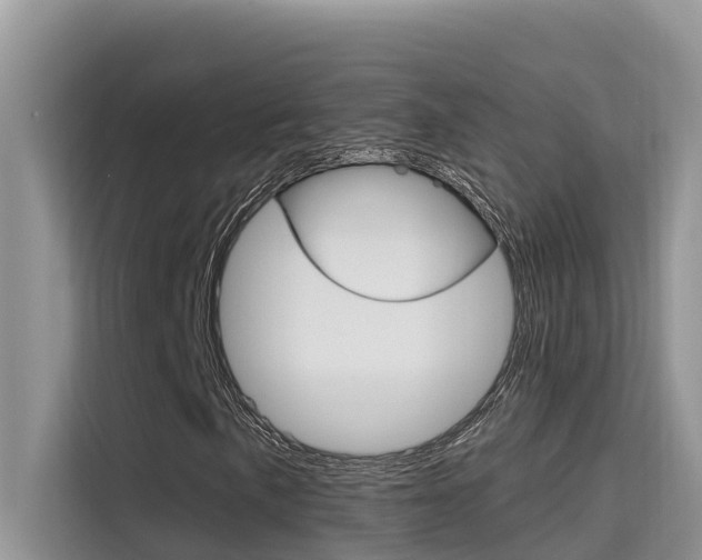 X0000115611057200911100927