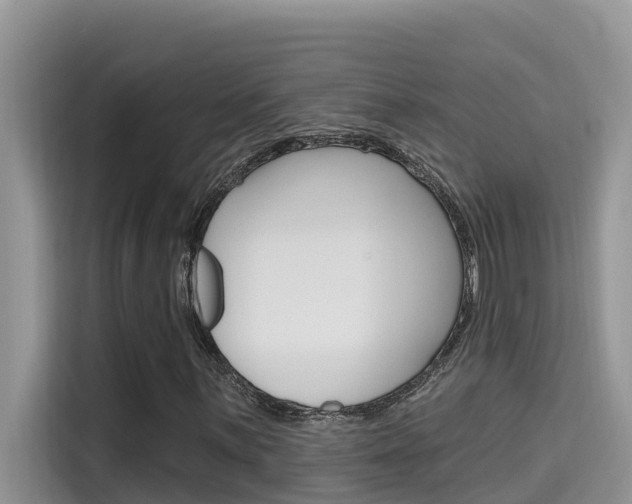 X0000115611059200911100927
