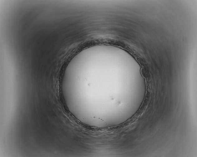 X0000115611061200911100927