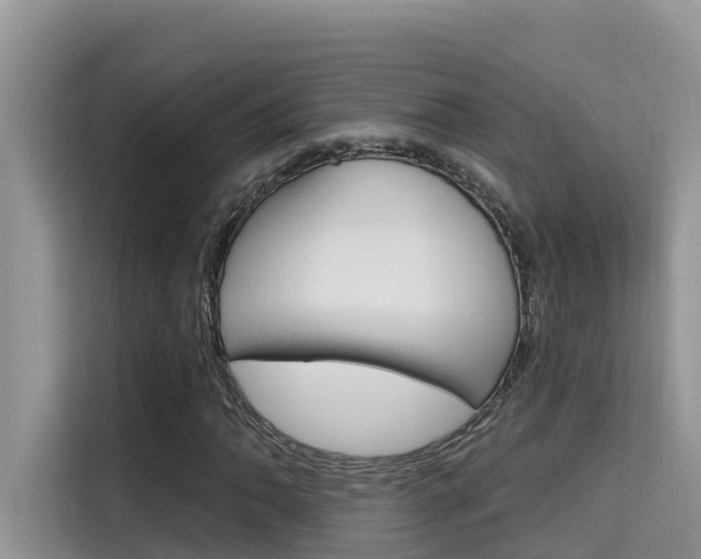 X0000115611062200911100927