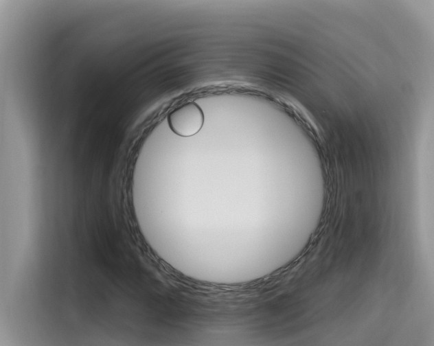 X0000115611064200911100927