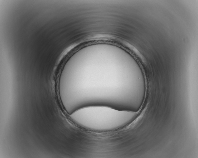 X0000115611066200911100927