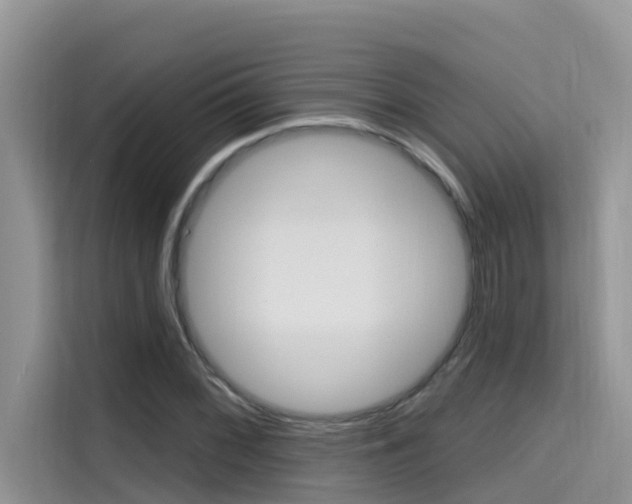 X0000115611068200911100927