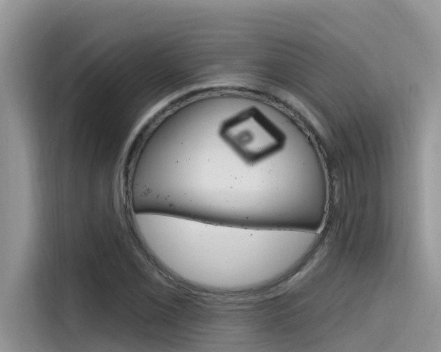 X0000115611069200911100927