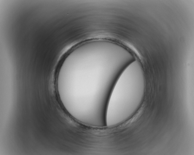 X0000115611071200911100927