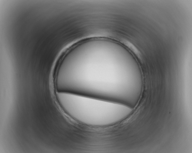X0000115611072200911100927