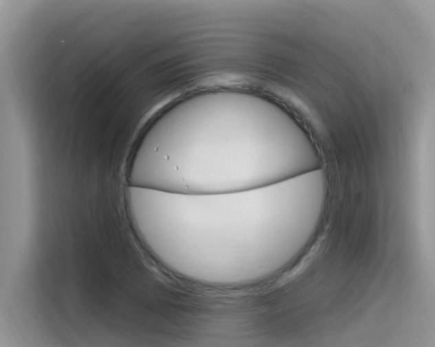 X0000115611073200911100927