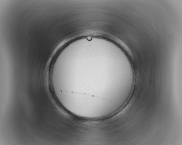 X0000115611075200911100927