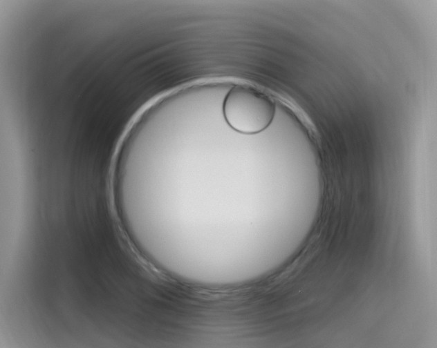 X0000115611076200911100927