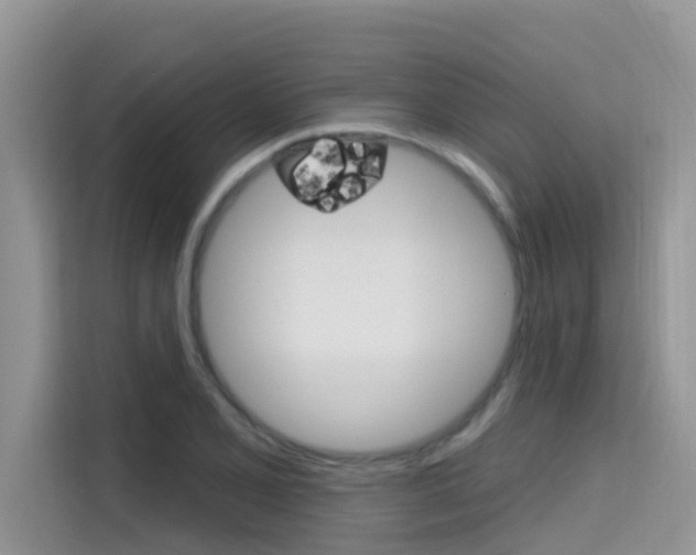 X0000115611077200911100927
