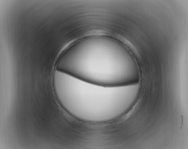 X0000115611081200911100927