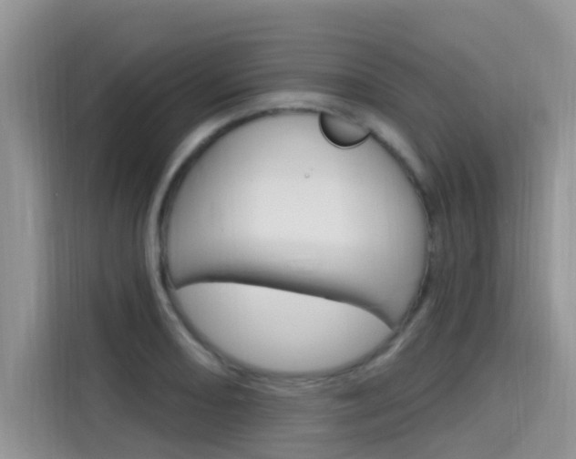 X0000115611082200911100927
