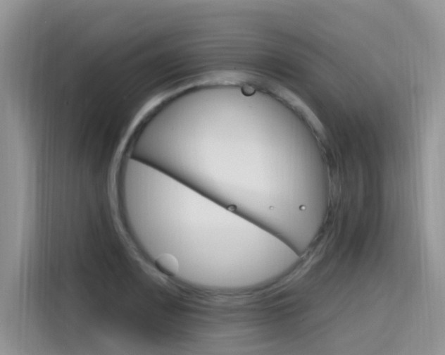 X0000115611083200911100927