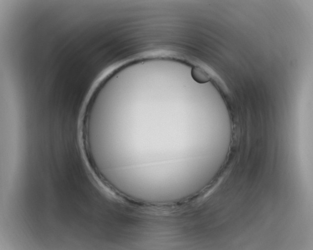X0000115611086200911100927