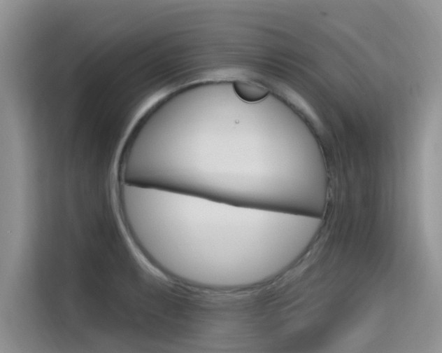X0000115611087200911100927