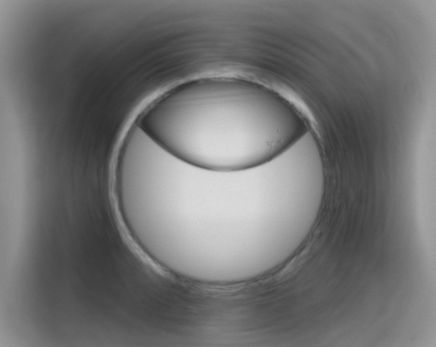 X0000115611088200911100927