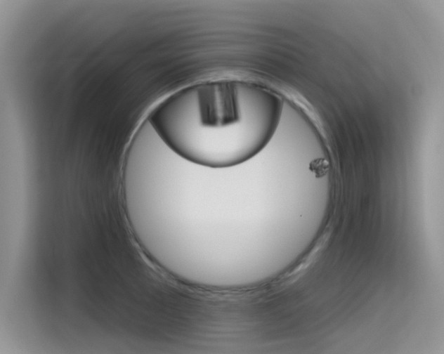X0000115611089200911100927
