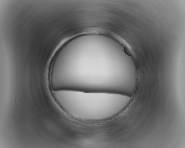 X0000115611091200911100927