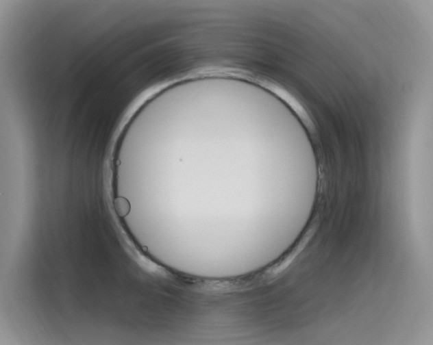 X0000115611094200911100927