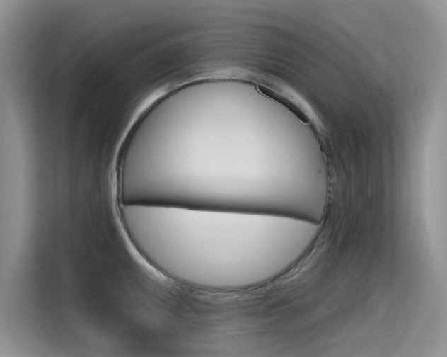 X0000115611095200911100927