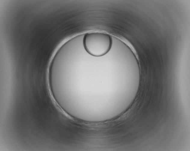 X0000115611096200911100927