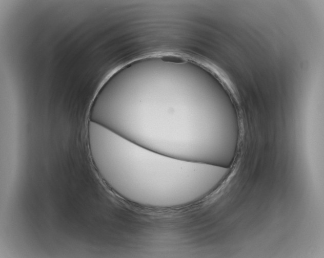 X0000115611097200911100927