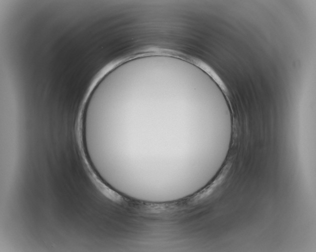 X0000115611098200911100927