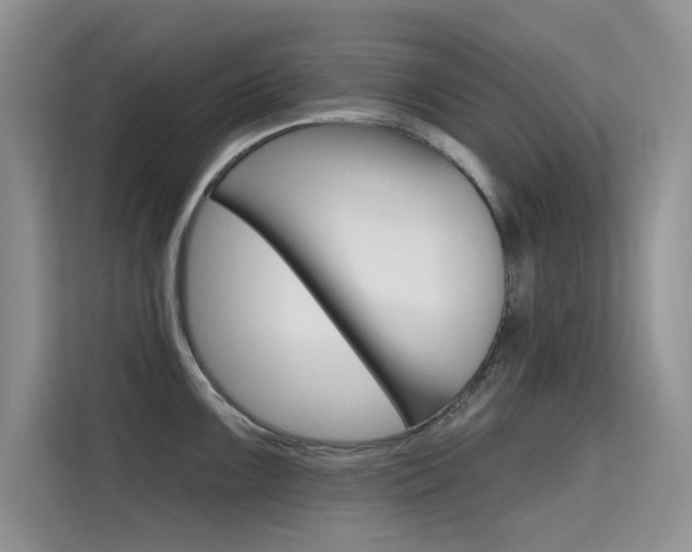 X0000115611099200911100927