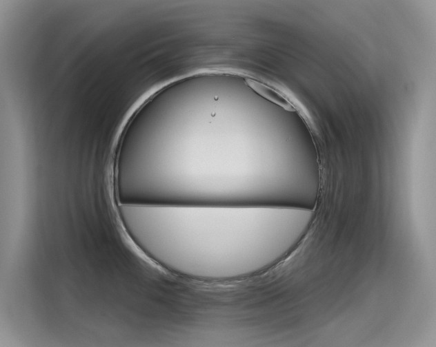 X0000115611100200911100927