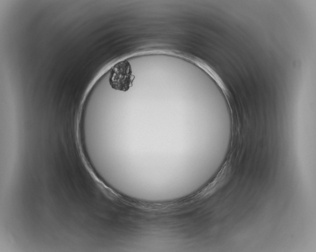 X0000115611101200911100927
