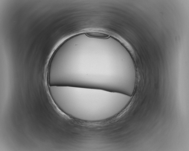 X0000115611102200911100927