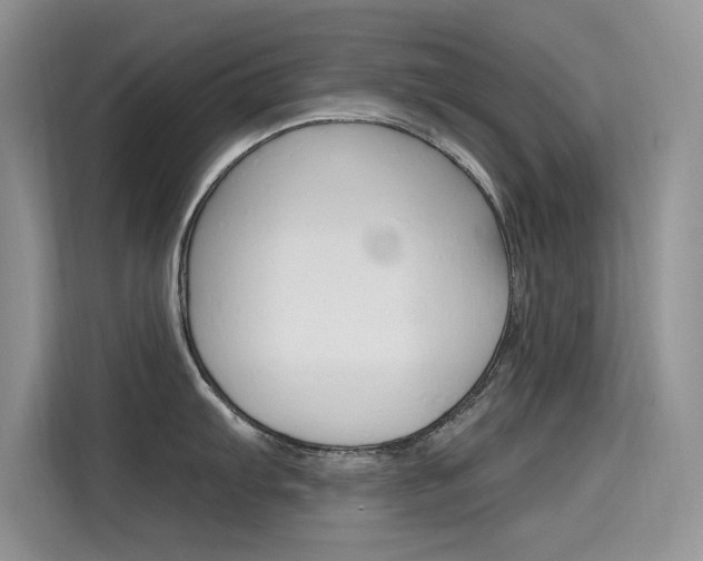 X0000115611103200911100927