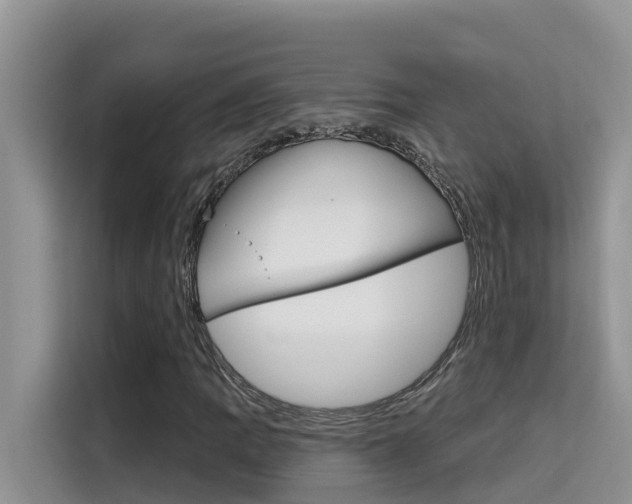 X0000115611109200911100926