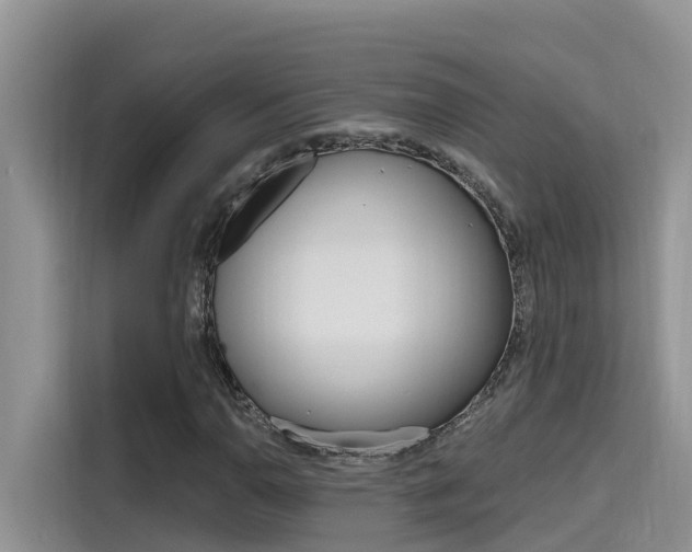 X0000115611110200911100926