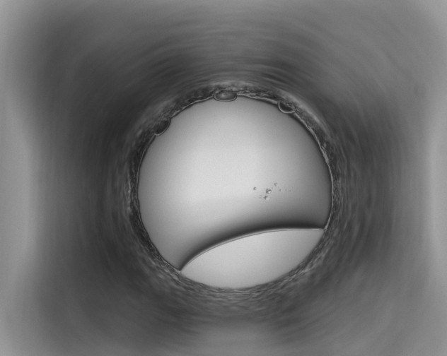 X0000115611111200911100926