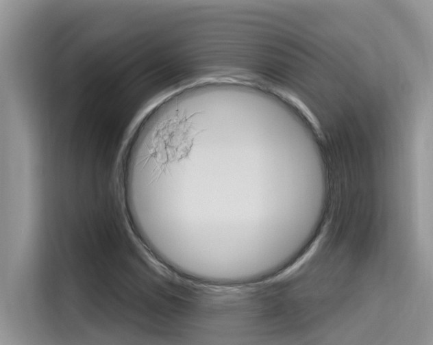 X0000115611114200911100926