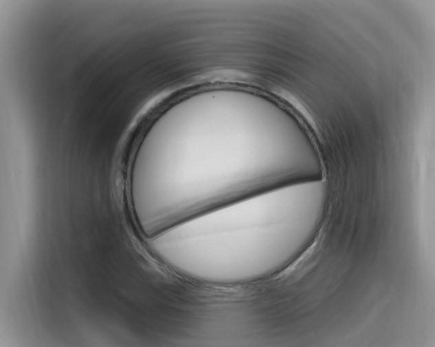 X0000115611115200911100926