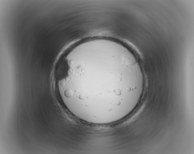 X0000115611117200911100926