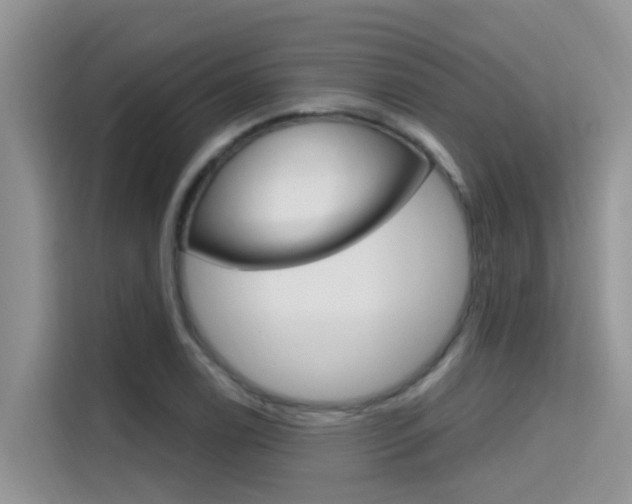 X0000115611122200911100926