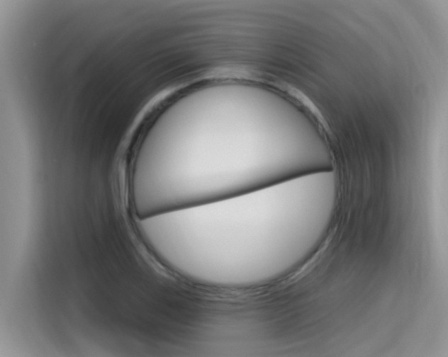X0000115611123200911100926