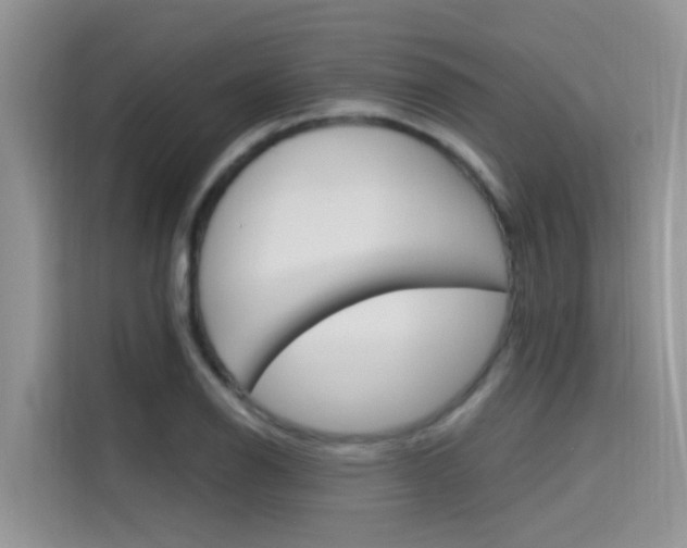 X0000115611126200911100926