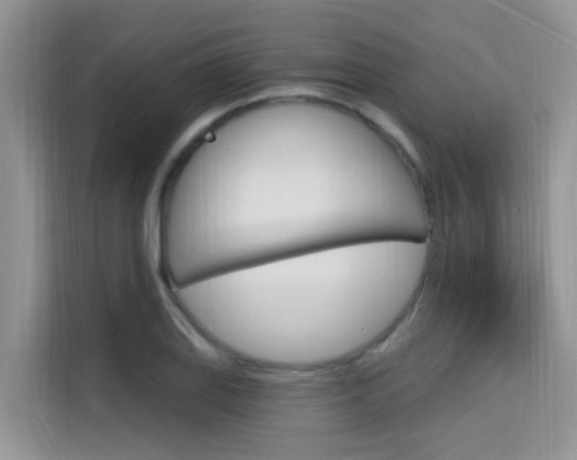X0000115611127200911100926