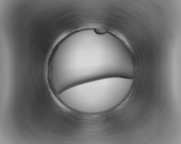 X0000115611135200911100926